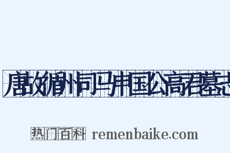 唐故循州司马申国公高君墓志是什么意思的图片